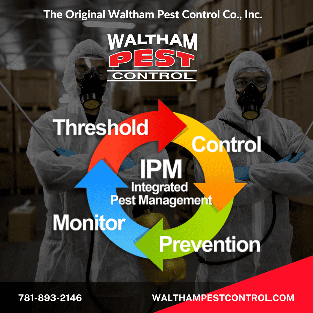 Commercial Pest Control in Massachusetts
