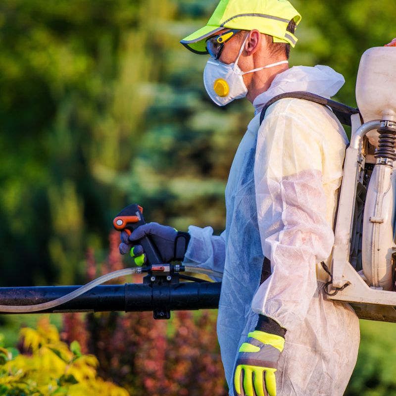 Summer Pest Control Tips: How to Keep Your Home Pest-Free
